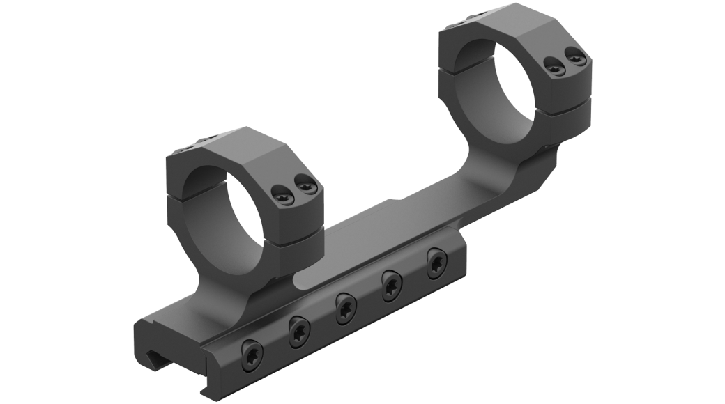 MARK AR 30MM MATTE